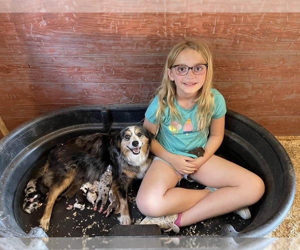 Medium Photo #10  Breeder Profile in CLEVELAND, MO, USA