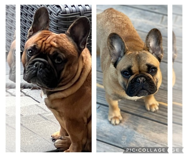 Medium Photo #2  Breeder Profile in KALISPELL, MT, USA