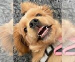 Small #17 Breeder Profile image