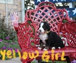 Small #2 Breeder Profile image