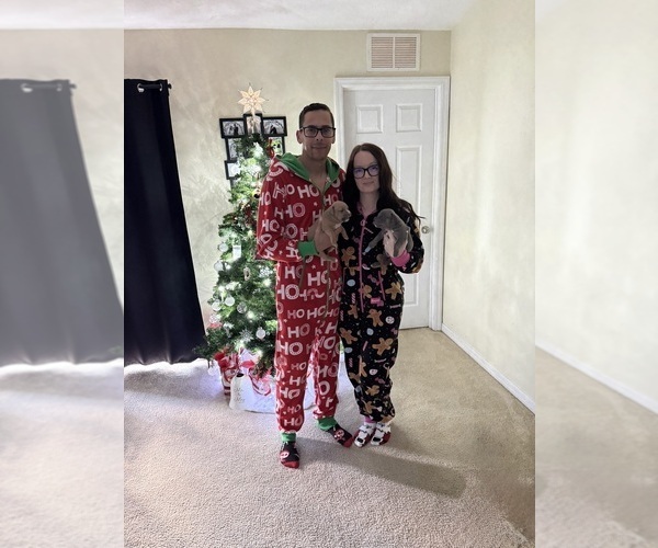 Medium Photo #1  Breeder Profile in PALM COAST, FL, USA