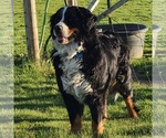 Small #5 Breeder Profile image