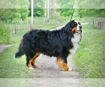 Small #6 Breeder Profile image