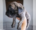 Small Photo #30  Breeder Profile in MONTEVIEW, ID, USA