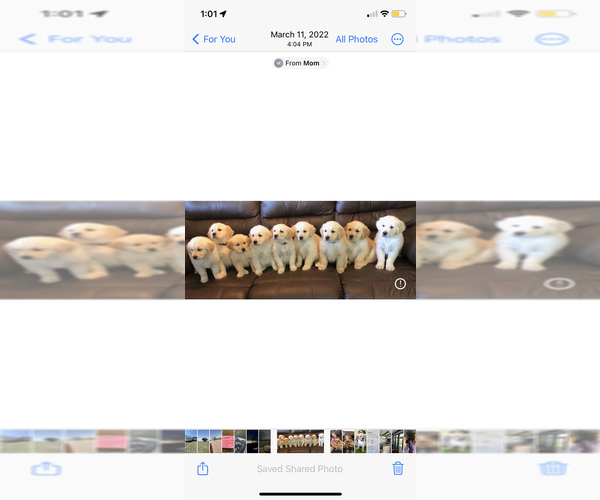 Medium Photo #23  Breeder Profile in PRITCHETT, CO, USA