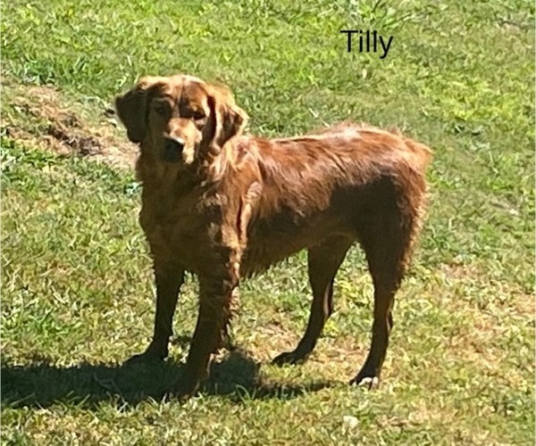 Medium Photo #5  Breeder Profile in LEON, KS, USA