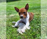 Small #9 Breeder Profile image