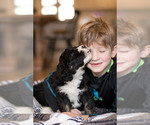 Small #12 Breeder Profile image