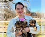 Small breeder photo