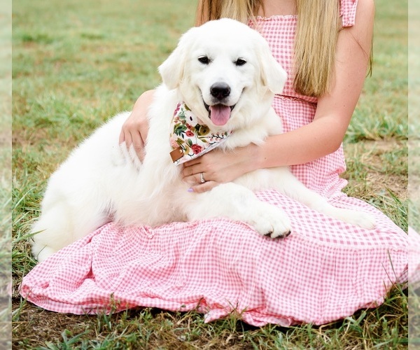 Medium Photo #1  Breeder Profile in WILSON, NC, USA