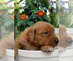 Small #3 Breeder Profile image