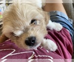 Small #7 Breeder Profile image