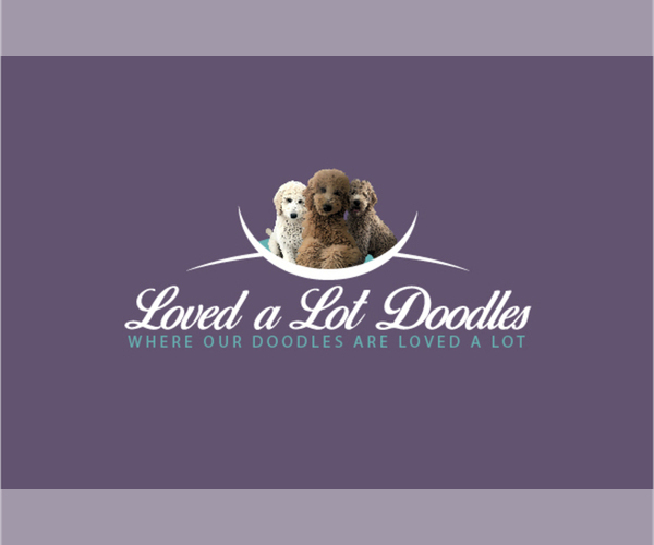 Medium Photo #1  Breeder Profile in COCOA, FL, USA