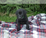 Small #5 Breeder Profile image