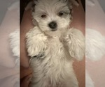Small #32 Breeder Profile image