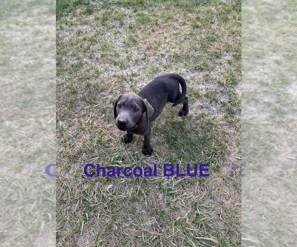 Medium Photo #5  Breeder Profile in HAGERMAN, ID, USA