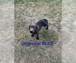 Small #4 Breeder Profile image