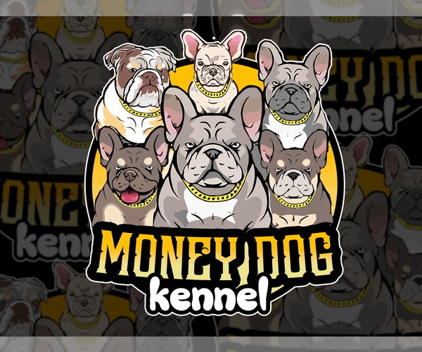 Medium Photo #1  Breeder Profile in CYPRESS, TX, USA