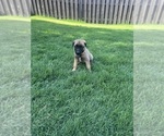 Small #7 Breeder Profile image
