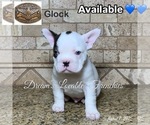 Small #5 Breeder Profile image