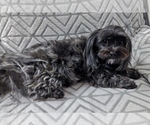 Small #4 Breeder Profile image