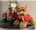 Small #25 Breeder Profile image