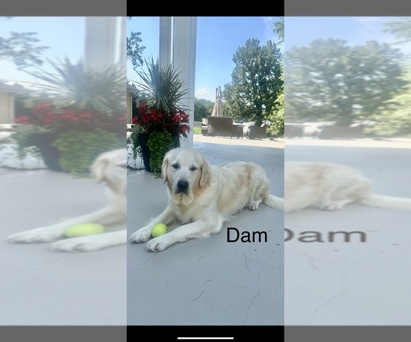 Medium Photo #3  Breeder Profile in WASHINGTON, IN, USA