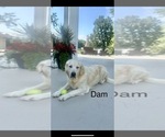 Small #2 Breeder Profile image