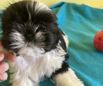 Small #2 Breeder Profile image