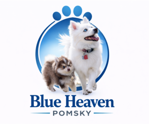Pomsky Dog Breeder near LINCOLN, NE, USA