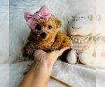 Small #14 Breeder Profile image