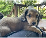 Small #25 Breeder Profile image