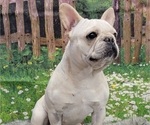Small #2 Breeder Profile image