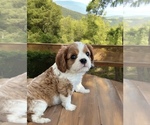 Small #3 Breeder Profile image