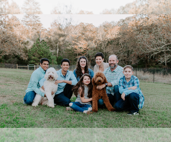 Medium Photo #1  Breeder Profile in GLENN SPRINGS, SC, USA