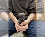 Small #75 Breeder Profile image