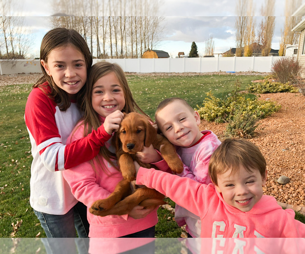 Medium Photo #18  Breeder Profile in CHINO VALLEY, AZ, USA