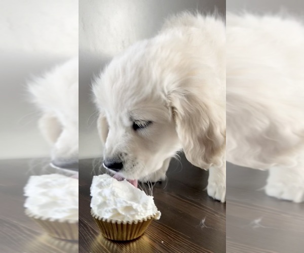 Medium Photo #2  Breeder Profile in PAYSON, UT, USA