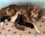 Small #15 Breeder Profile image