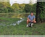 Small #8 Breeder Profile image