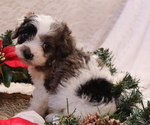 Small #5 Breeder Profile image