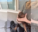 Small #11 Breeder Profile image