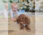 Small breeder photo