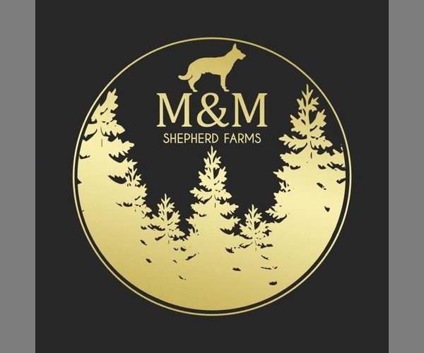 Medium Photo #1  Breeder Profile in WATERVLIET, MI, USA