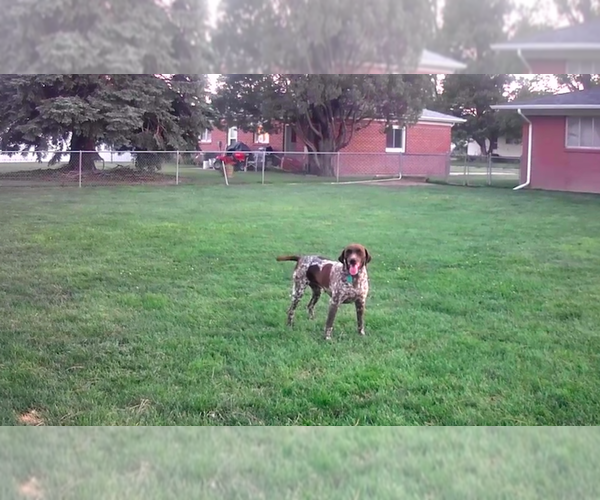 Medium Photo #1  Breeder Profile in HAXTUN, CO, USA