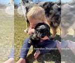 Small #21 Breeder Profile image
