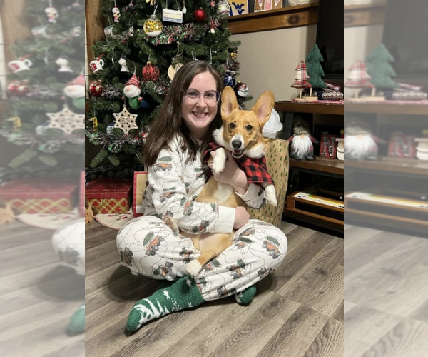 Medium Photo #5  Breeder Profile in S CHARLESTON, WV, USA