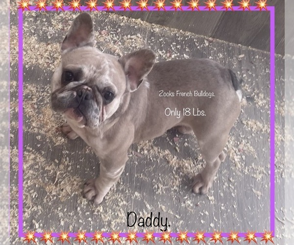 Medium Photo #13  Breeder Profile in FORT PLAIN, NY, USA