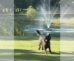 Small #4 Breeder Profile image