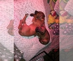 Small #22 Breeder Profile image